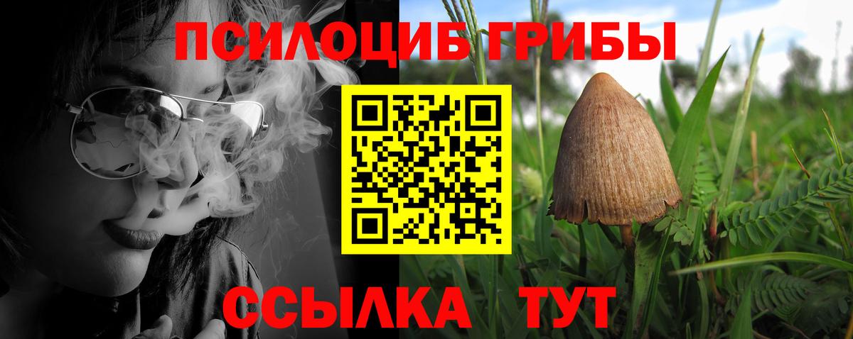 Псилоцибиновые грибы MAGIC MUSHROOMS Майский